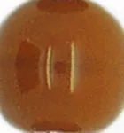 Mother of Pearl Shell Alphabet Letter Duo Czech Glass Bead Choker