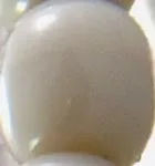 Mother of Pearl Shell Alphabet Letter Duo Czech Glass Bead Choker
